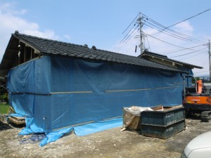 養生