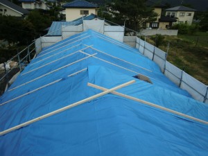 屋根養生