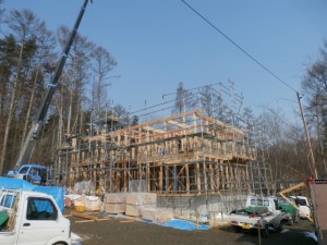 P3120035