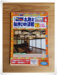 掲載表紙