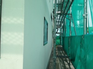 IMG_1081