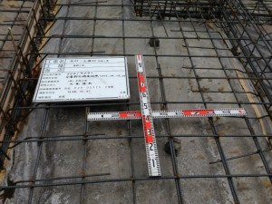 IMG_1711
