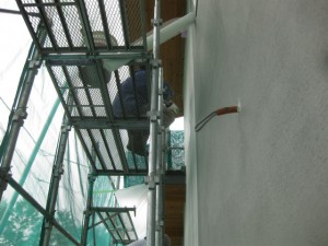 IMG_3422
