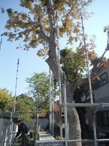 足場組み立て２