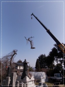 クレーンで移動